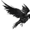 Munin