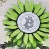 BotCrypto
