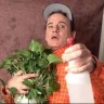 BillMurray