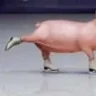 CannaRaf