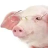PinkOPig
