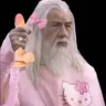 GandalfLeJoyeux