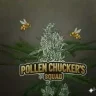 Pollen Chucker