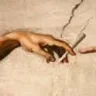 AdamEve