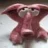 rosebud