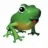 harry-frog