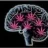 Chamannabis