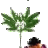 PedroBill