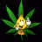 muskweed