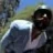 The_Morquendi