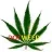 docweed