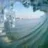 tranbert33