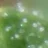 jackweed23
