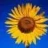 Professeur Tournesol