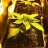 Cannaflex Indoor