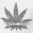 weedlife54