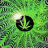 bigbudybud