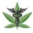 kenny420