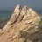 roscovite