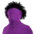 Coyloup