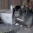 Ratzymollo
